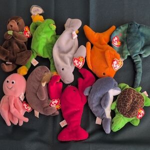 Ty Beanie Babies Aquarium Creatures Collection
